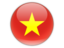 Vietnam Flag